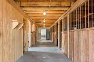 1463 Clarkes Cir, Castle Rock, CO 80109 - Photo 47