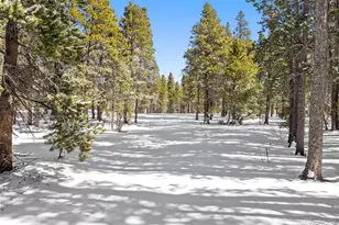 286 Chieftain Rd, Black Hawk, CO 80422 - Photo 43