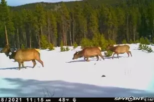 1101 Cr 99, Black Hawk, CO 80422 - Photo 33