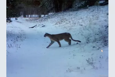 1101 Cr 99, Black Hawk, CO 80422 - Photo 35