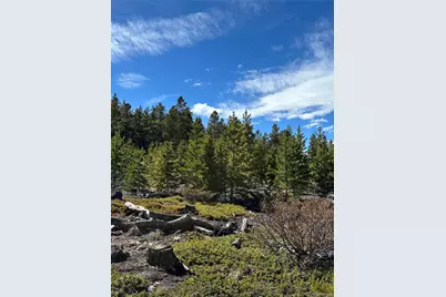 1101 Cr 99, Black Hawk, CO 80422 - Photo 27