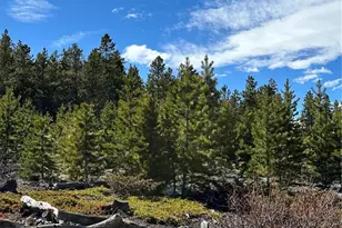 1101 Cr 99, Black Hawk, CO 80422 - Photo 27