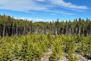 1101 Cr 99, Black Hawk, CO 80422 - Photo 25