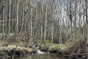 1101 Cr 99, Black Hawk, CO 80422 - Photo 23