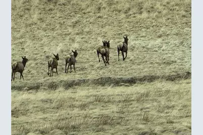 Lot 2415 Petito Drive, Fort Garland, CO 81133 - Photo 17