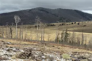 Lot 2415 Petito Dr, Fort Garland, CO 81133 - Photo 1