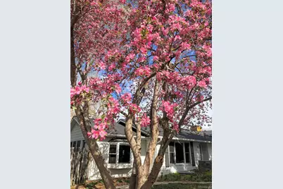 99 S Holland Street, Lakewood, CO 80226 - Photo 3