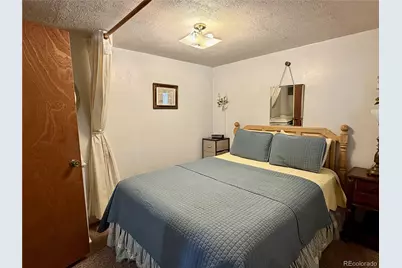 119 E 14th Street, Leadville, CO 80461 - Photo 9