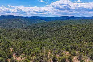 31300 Timber Canyon Rd, Trinidad, CO 81082 - Photo 5