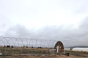 25929 Tappero Ave, Moffat, CO 81143 - Photo 13