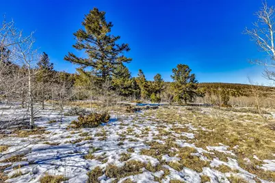 2996 Redhill Road, Fairplay, CO 80440 - Photo 17