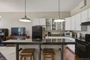 2900 N Downing St, Denver, CO 80205 - Photo 9