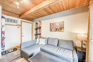 100 Cove Blvd, Dillon, CO 80435 - Photo 5