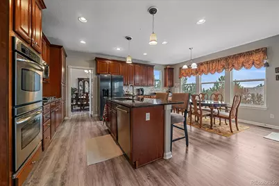 3007 Danbury Avenue, Highlands Ranch, CO 80126 - Photo 11