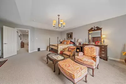 3007 Danbury Avenue, Highlands Ranch, CO 80126 - Photo 23