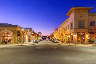 7041 Homeplace St, Castle Rock, CO 80108 - Photo 35