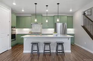 7041 Homeplace St, Castle Rock, CO 80108 - Photo 11