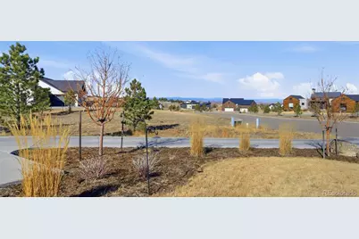 11250 Running Kit Place, Franktown, CO 80116 - Photo 43