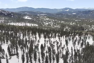 5525 S Twin Spruce Dr, Evergreen, CO 80439 - Photo 13