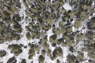 5525 S Twin Spruce Dr, Evergreen, CO 80439 - Photo 21