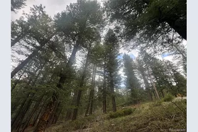 5525 S Twin Spruce Drive, Evergreen, CO 80439 - Photo 7