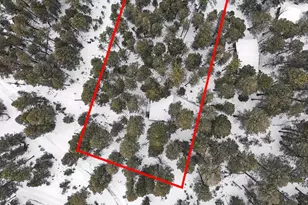 5525 S Twin Spruce Dr, Evergreen, CO 80439 - Photo 9