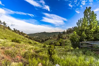 180 Deep Cut Road, Livermore, CO 80536 - Photo 39