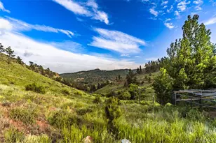 180 Deep Cut Rd, Livermore, CO 80536 - Photo 39