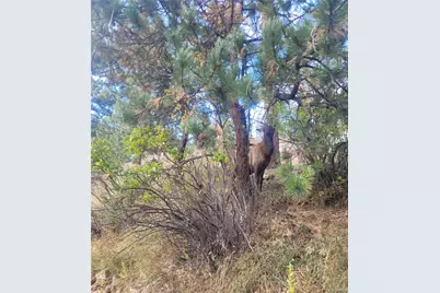 5162 S Road A, Evergreen, CO 80439 - Photo 19