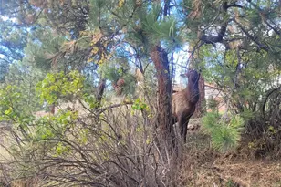 5162 S Rd A, Evergreen, CO 80439 - Photo 19