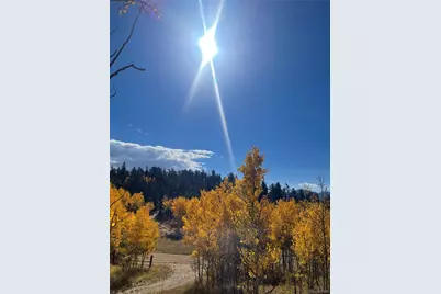 217 Bordenville Road, Jefferson, CO 80456 - Photo 15