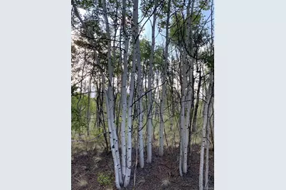 217 Bordenville Road, Jefferson, CO 80456 - Photo 13