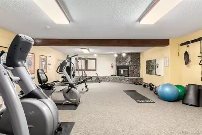 37 Tally Ho Court #110, Dillon, CO 80435 - Photo 29