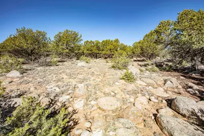 30036 Teal Run, Buena Vista, CO 81211 - Photo 15