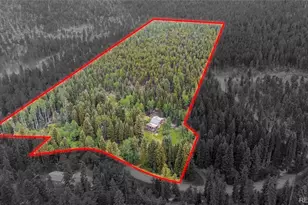 11173 S Barney Gulch Rd, Conifer, CO 80433 - Photo 3