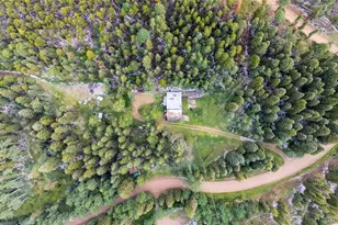 11173 S Barney Gulch Rd, Conifer, CO 80433 - Photo 11