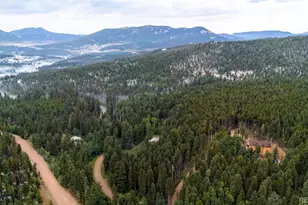 11173 S Barney Gulch Rd, Conifer, CO 80433 - Photo 15