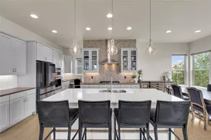 10401 Maplebrook Wy, Highlands Ranch, CO 80126 - Photo 13