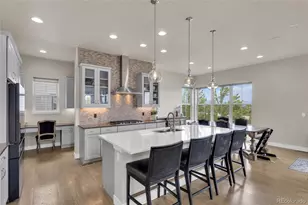10401 Maplebrook Wy, Highlands Ranch, CO 80126 - Photo 15