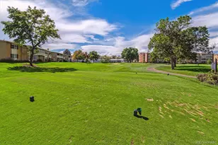 725 S Clinton St, Denver, CO 80247 - Photo 21