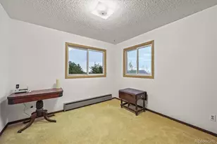 2169 Vigilante Ave, Bailey, CO 80421 - Photo 31