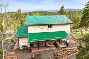 2169 Vigilante Ave, Bailey, CO 80421 - Photo 21