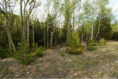 000 Trail Creek Road, Idaho Springs, CO 80452 - Photo 7