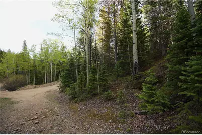000 Trail Creek Road, Idaho Springs, CO 80452 - Photo 9