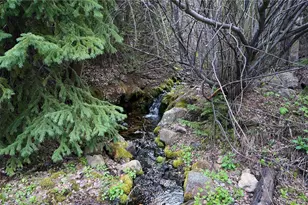 000 Trail Creek Rd, Idaho Springs, CO 80452 - Photo 1