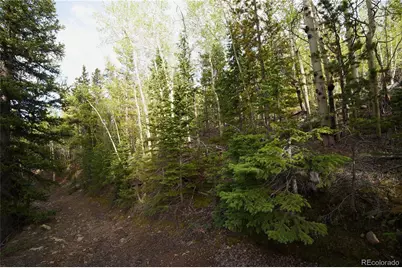 000 Trail Creek Road, Idaho Springs, CO 80452 - Photo 13