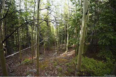 000 Trail Creek Road, Idaho Springs, CO 80452 - Photo 11