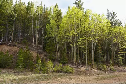 000 Trail Creek Road, Idaho Springs, CO 80452 - Photo 3