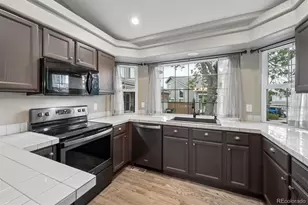 1131 Laurenwood Way, Highlands Ranch, CO 80129 - Photo 3