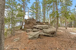 74 Valley View Ln, Evergreen, CO 80439 - Photo 43
